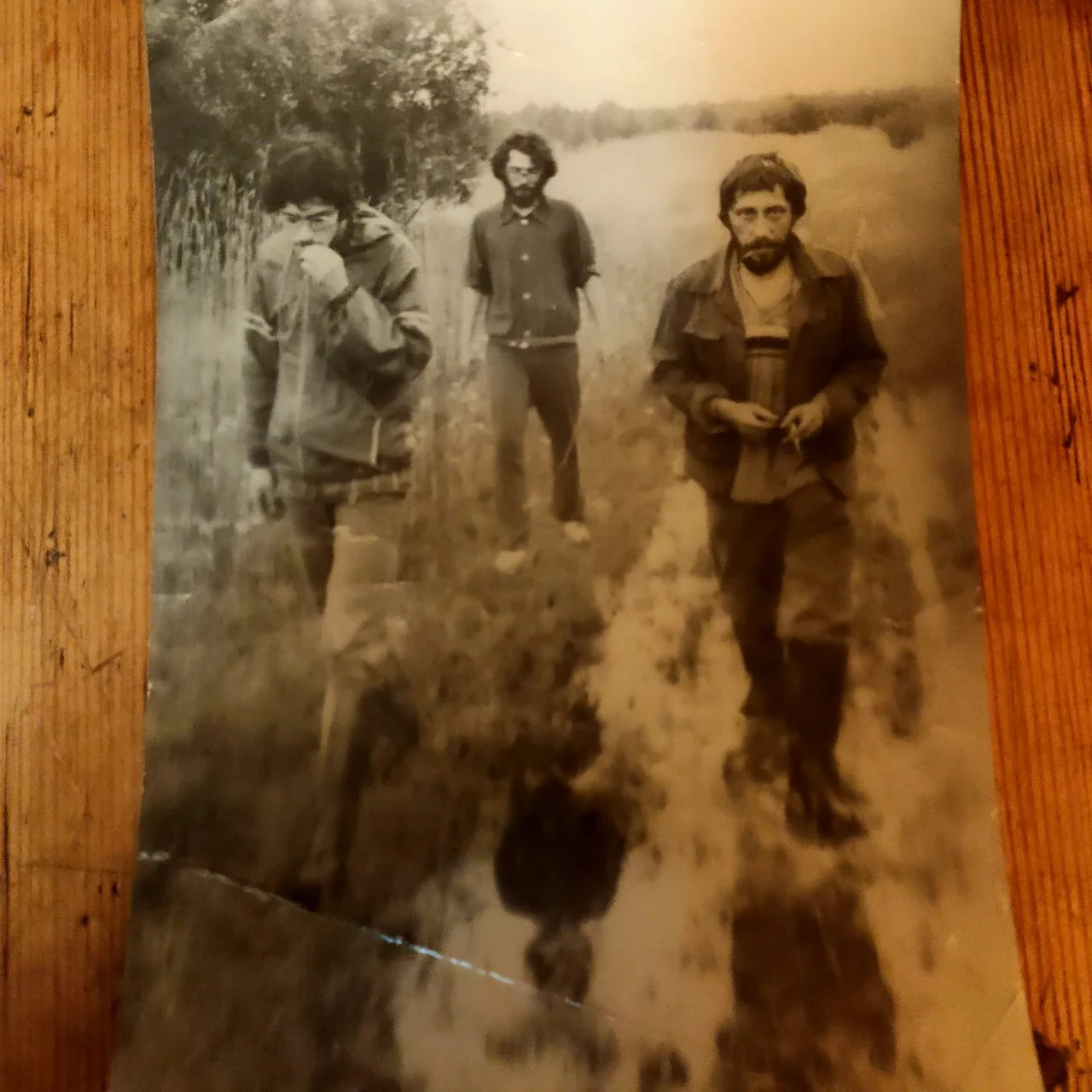 Александр Скобов и Лев Волохонский с товарищем на поляне.
